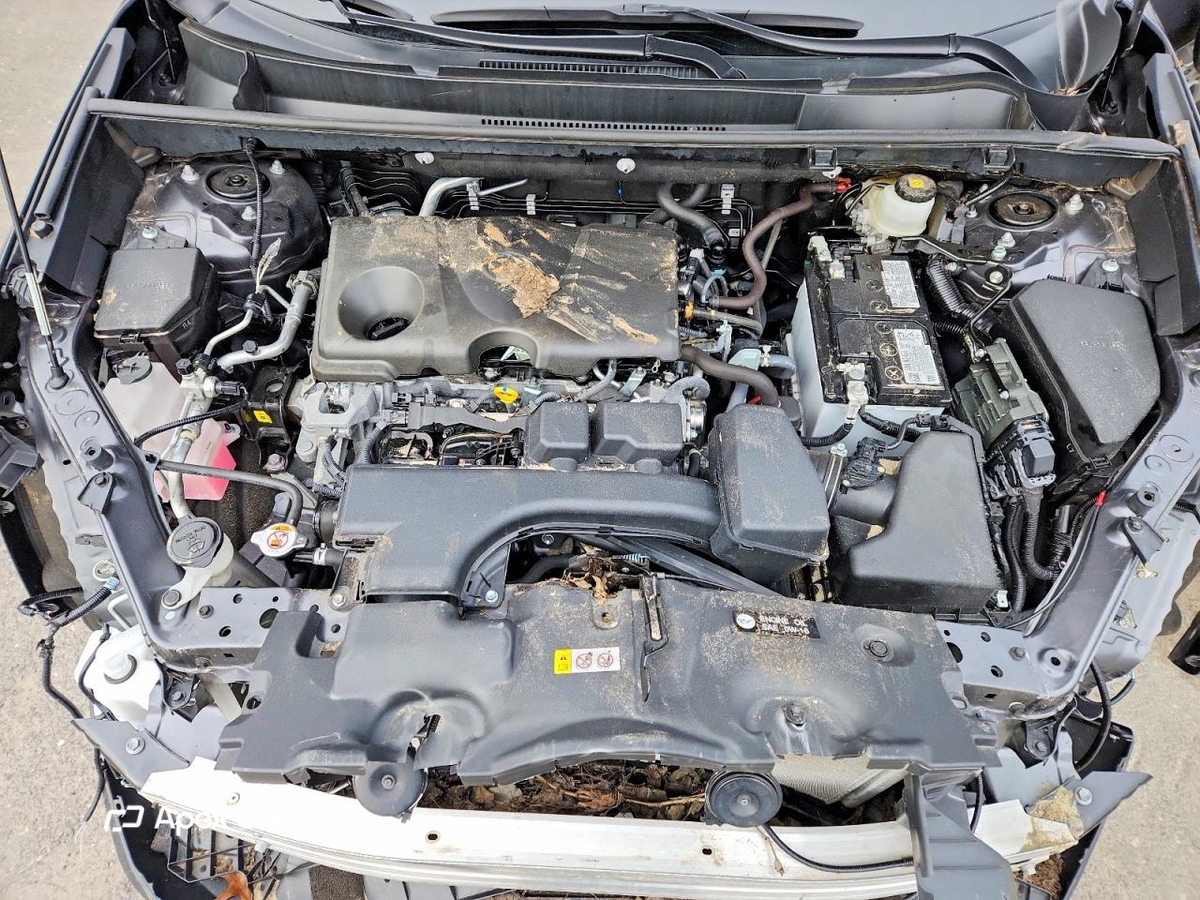 Toyota RAV 4 2025