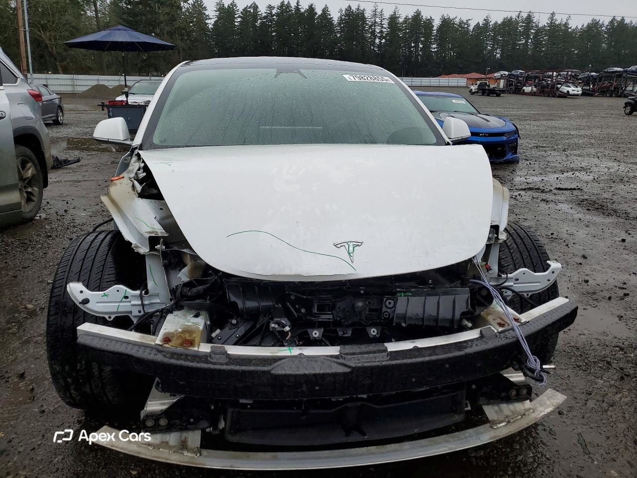 Tesla Model 3 2019
