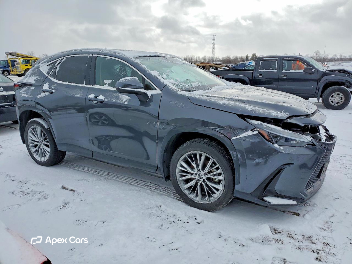 Lexus NX 2025