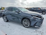 Lexus NX 2025