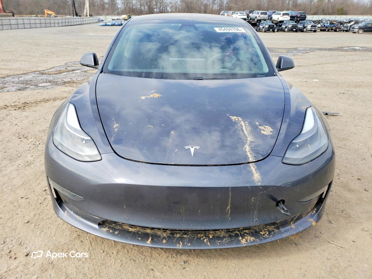 Tesla Model 3 2021