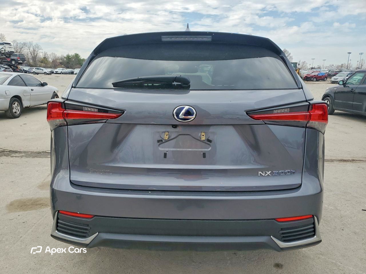 Lexus NX 2019