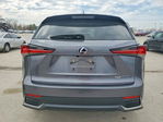 Lexus NX 2019