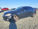 Lexus IS 2009