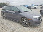 Honda Odyssey 2022
