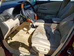 Lexus RX 2010