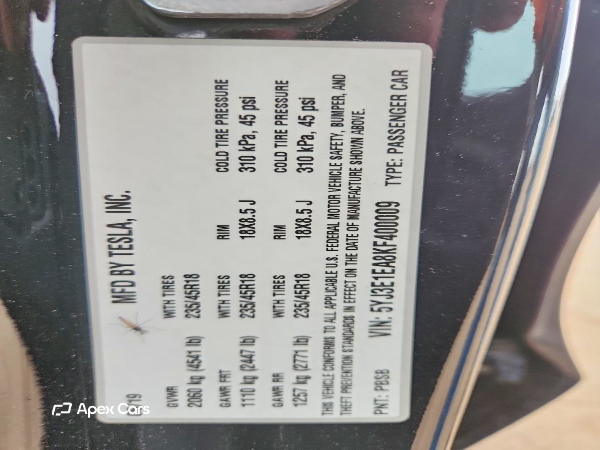 Tesla Model 3 2019