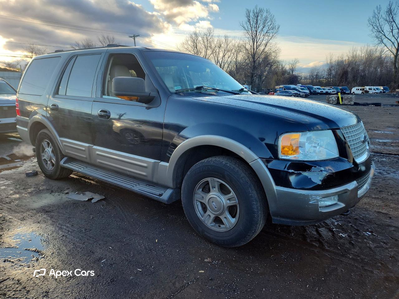 Ford Expedition 2003