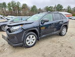 Toyota RAV 4 2019