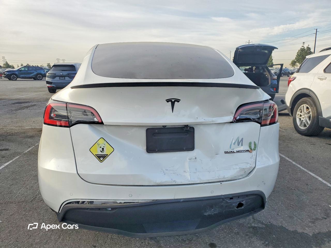 Tesla Model Y 2021
