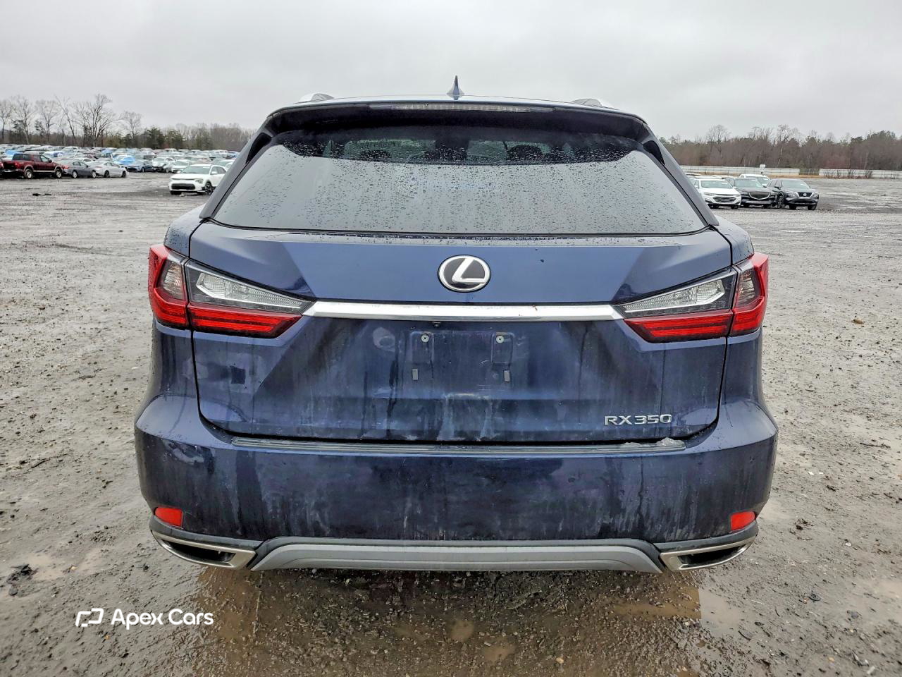 Lexus RX 2022