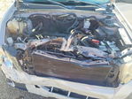 Ford Escape 2012