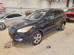 Ford Escape 2013