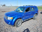 Ford Escape 2011
