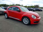 Volkswagen Beetle 2014