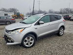 Ford Escape 2014