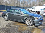 Honda Accord 2013