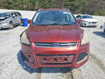 Ford Escape 2014