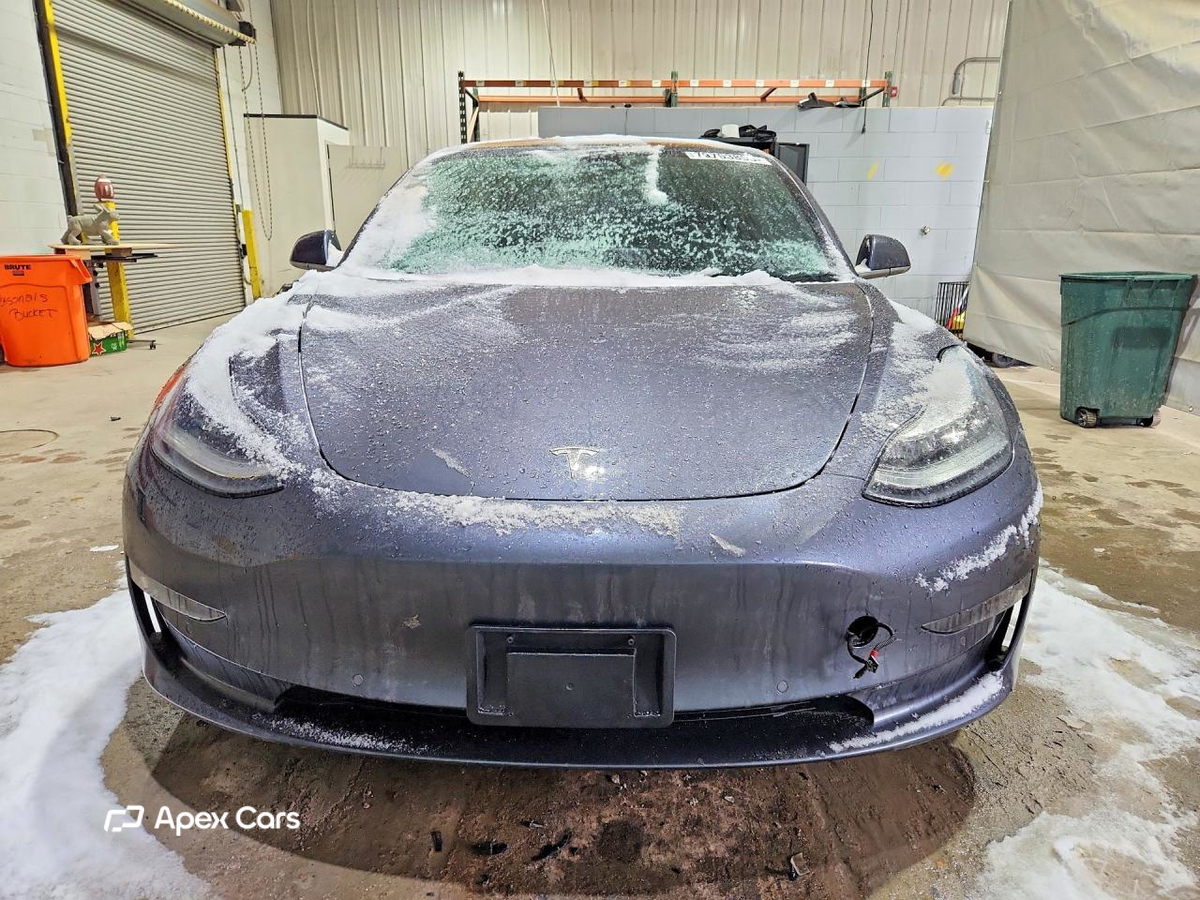 Tesla Model 3 2019