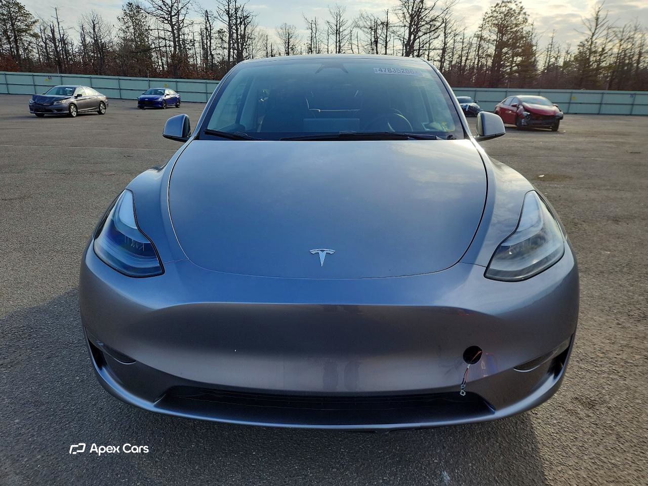 Tesla Model Y 2025