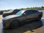 Dodge Charger 2015
