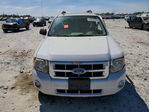 Ford Escape 2008