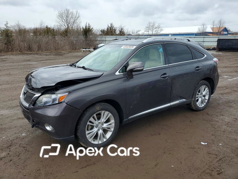 Lexus RX 2010 - Image 1 of 14