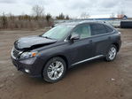 Lexus RX 2010