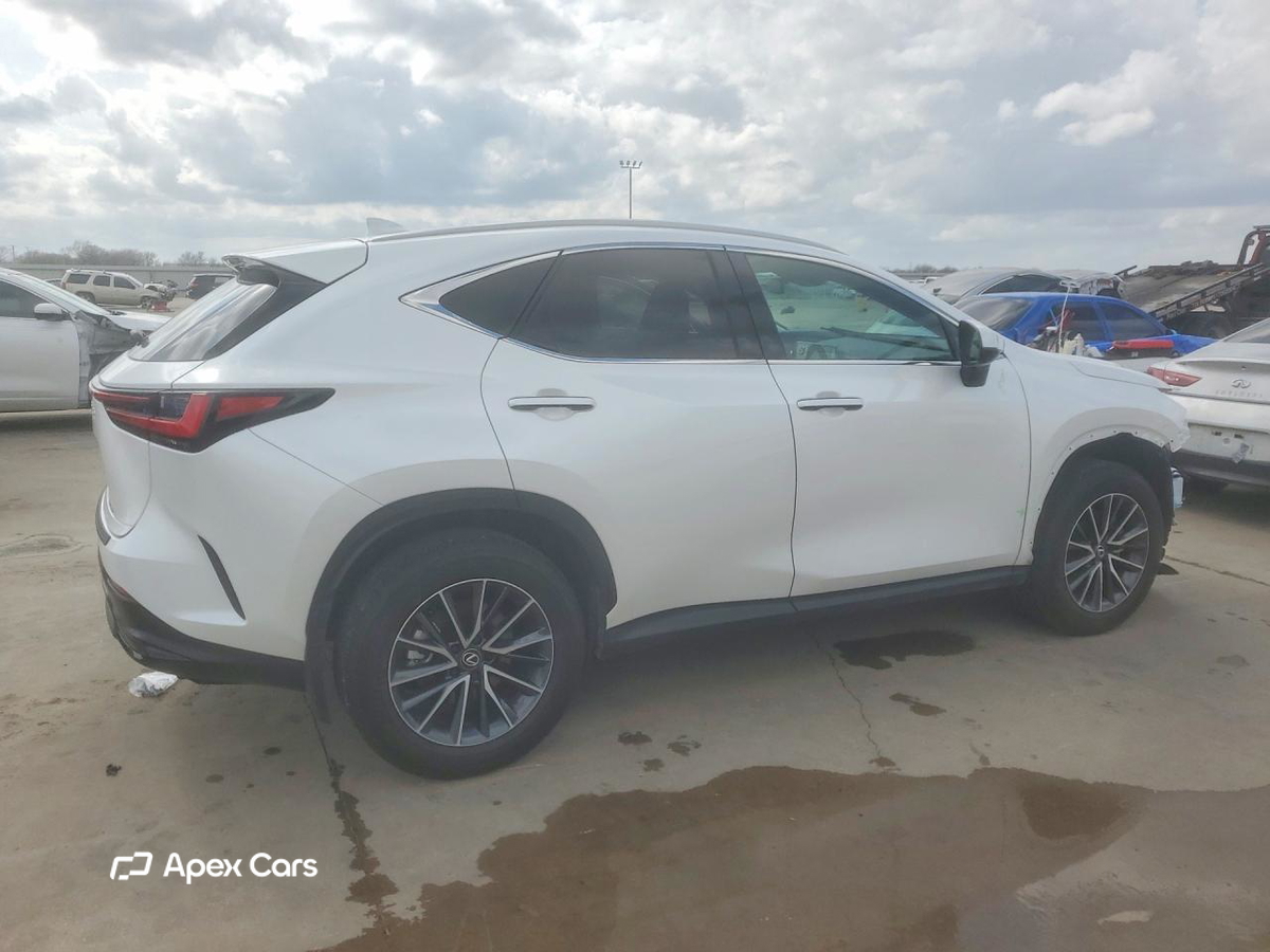 Lexus NX 2025