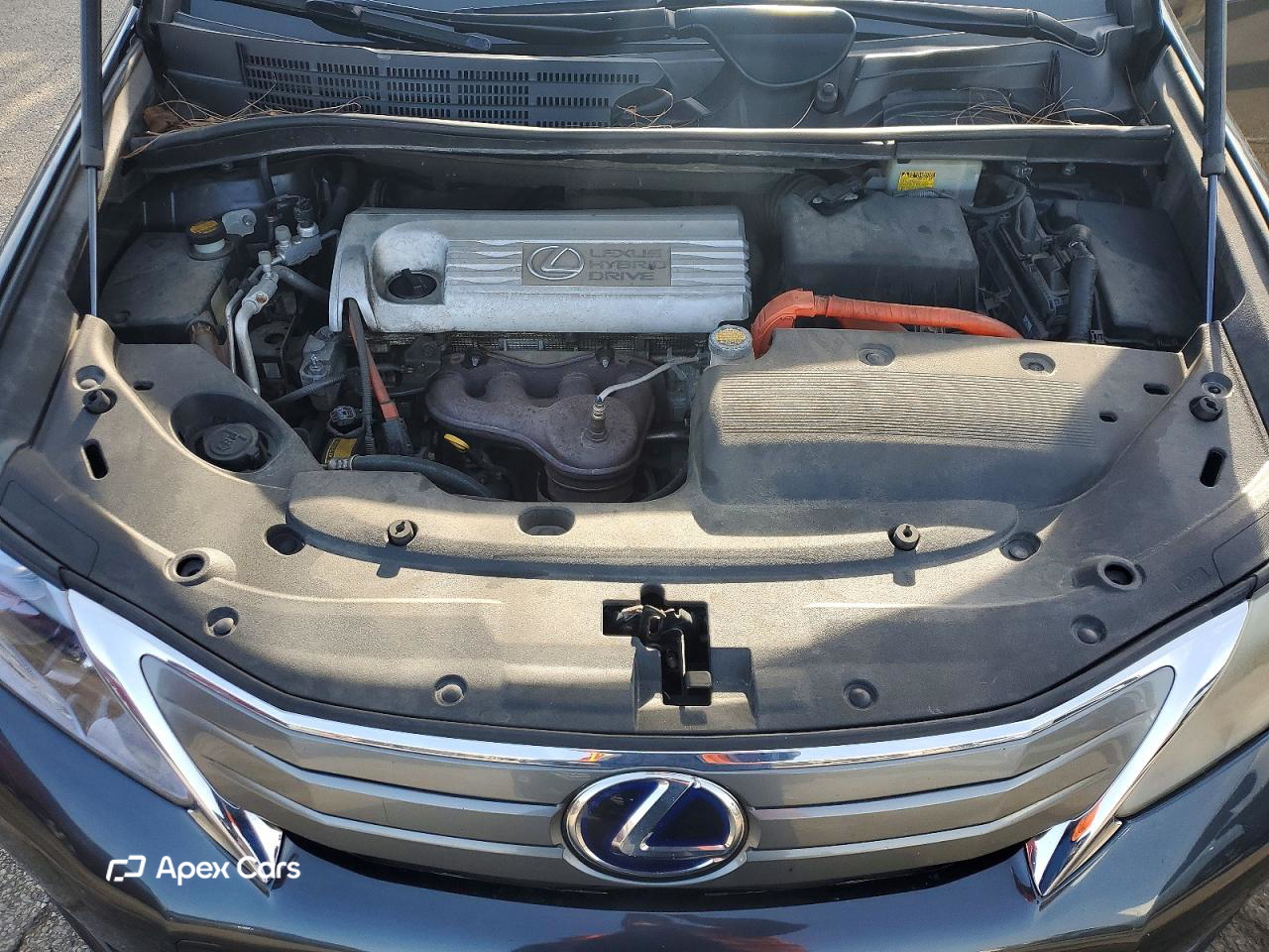 Lexus HS 2011