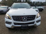 Mercedes-Benz  2014