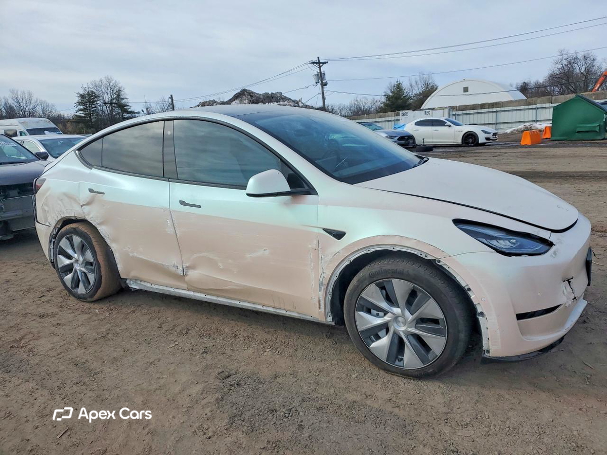 Tesla Model Y 2020