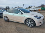 Tesla Model Y 2020