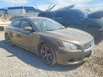 Nissan Maxima 2014