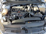 Kia K5 2024