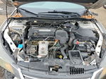 Honda Accord 2013