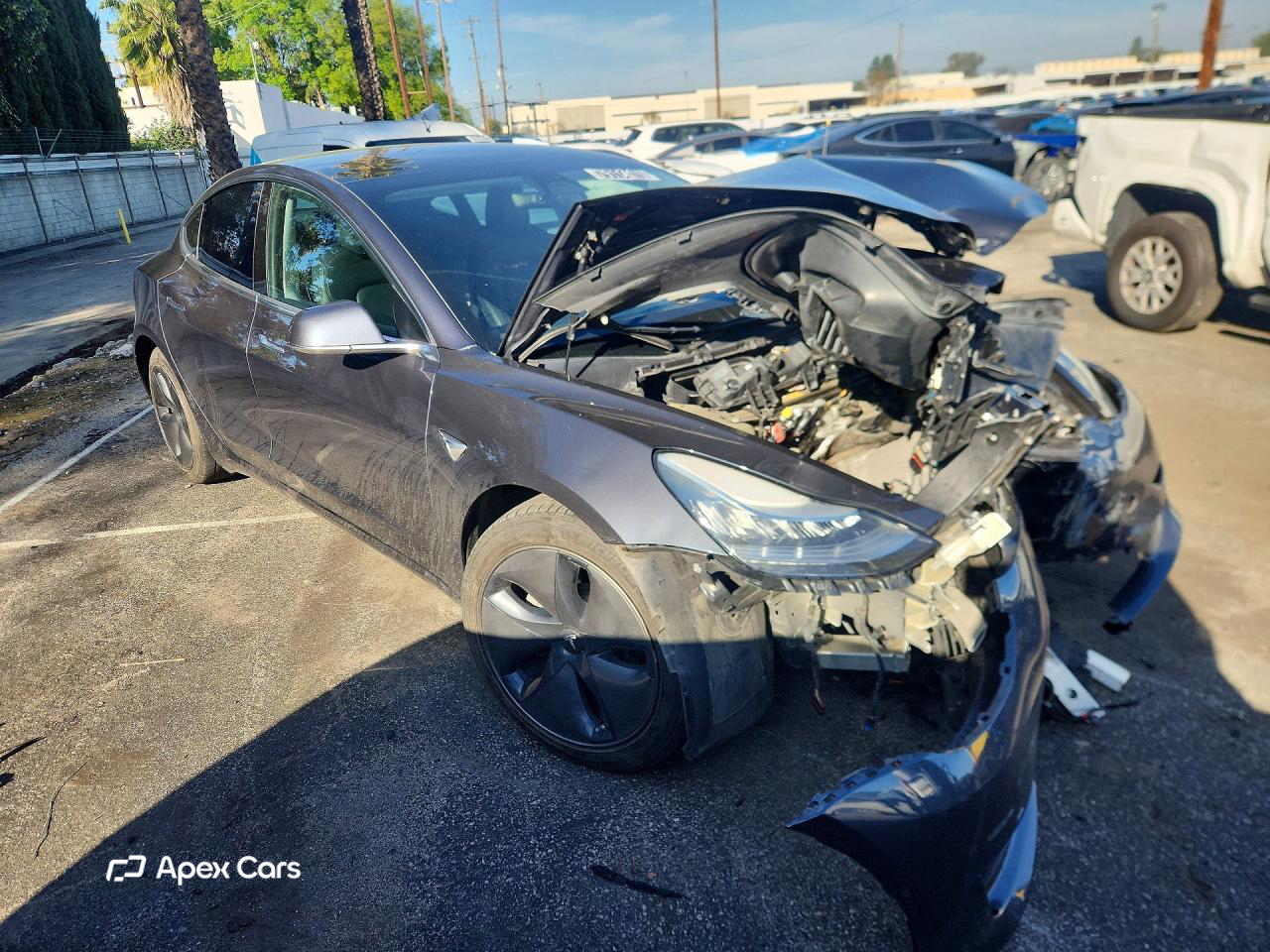 Tesla Model 3 2019