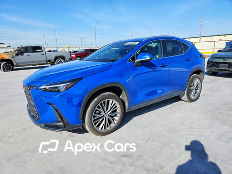 Lexus NX 2022 - Image 1 of 14