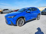 Lexus NX 2022