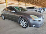 Nissan Maxima 2005