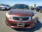 Honda Accord 2010