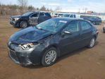 Toyota Corolla 2016