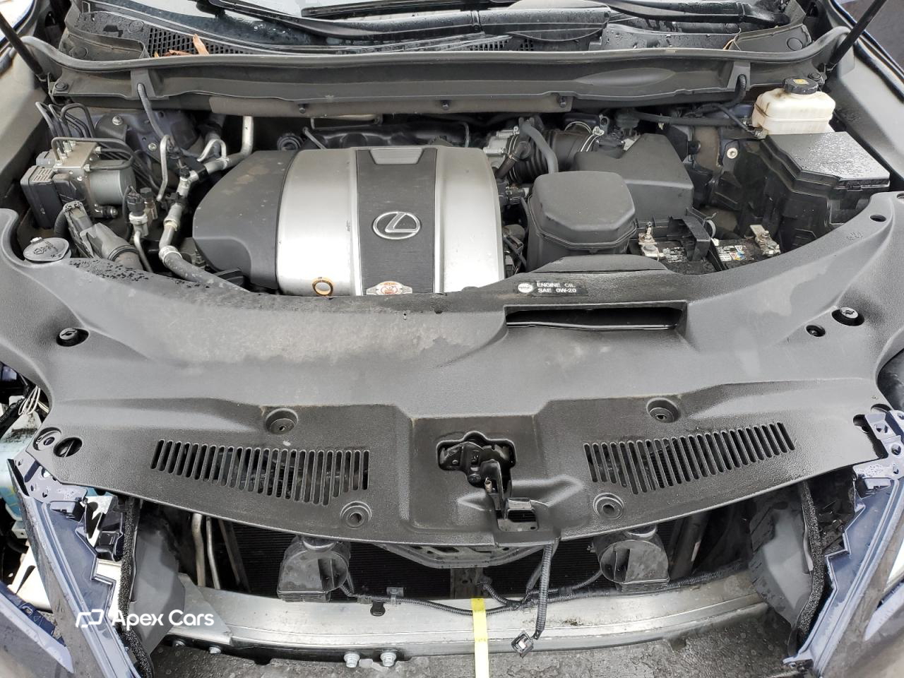 Lexus RX 2022