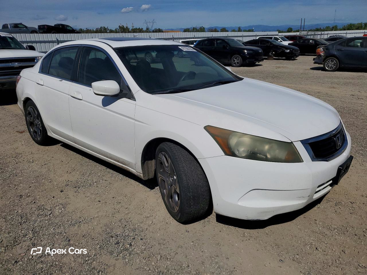 Honda Accord 2010