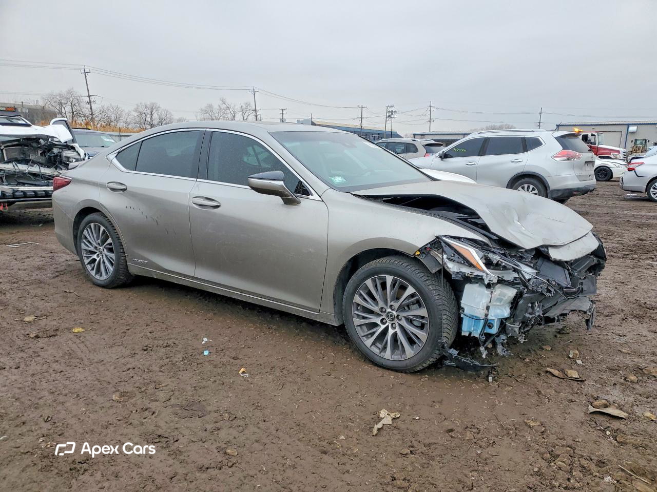 Lexus ES 2020