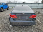 Lexus ES 2010