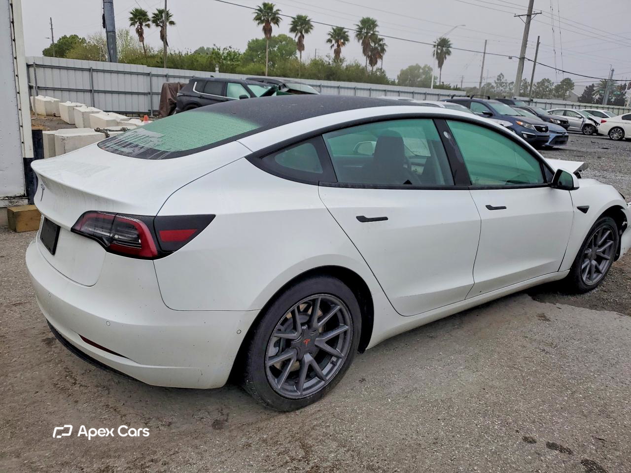 Tesla Model 3 2021
