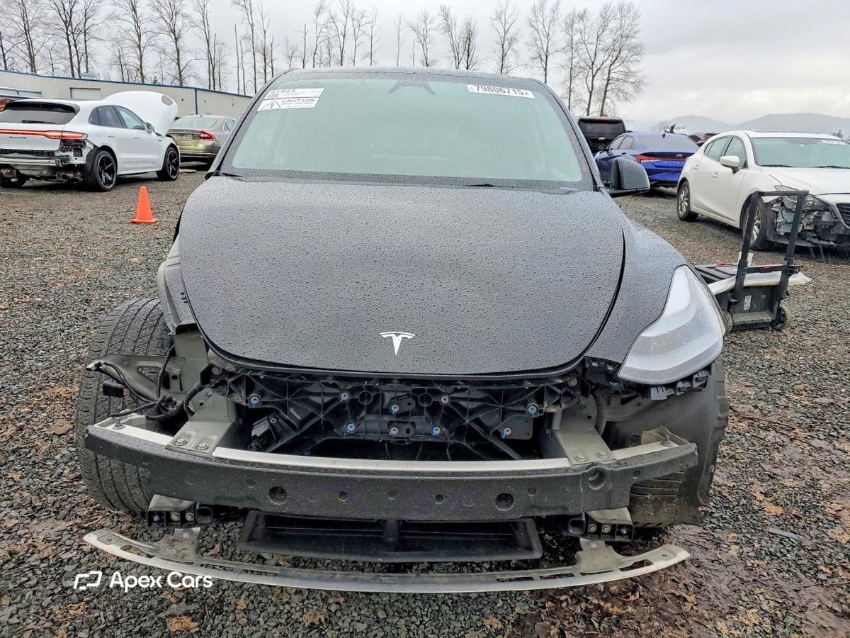 Tesla Model Y 2025