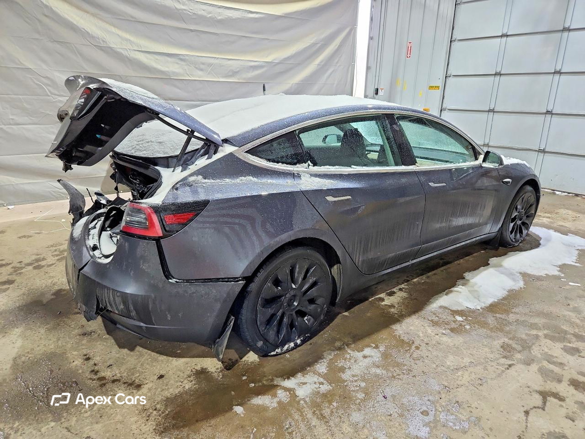 Tesla Model 3 2019