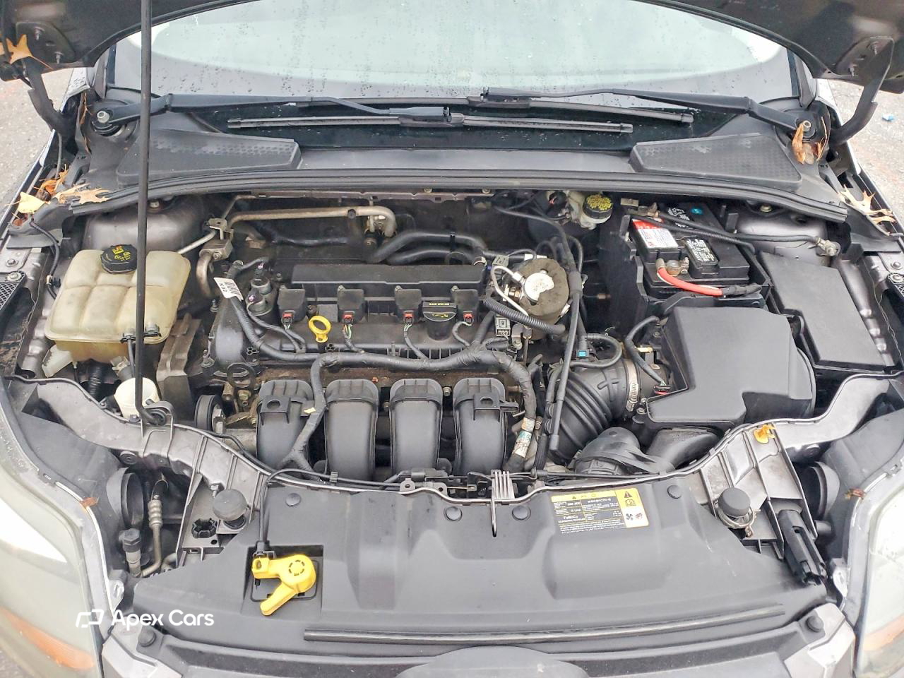 Ford Focus 2014